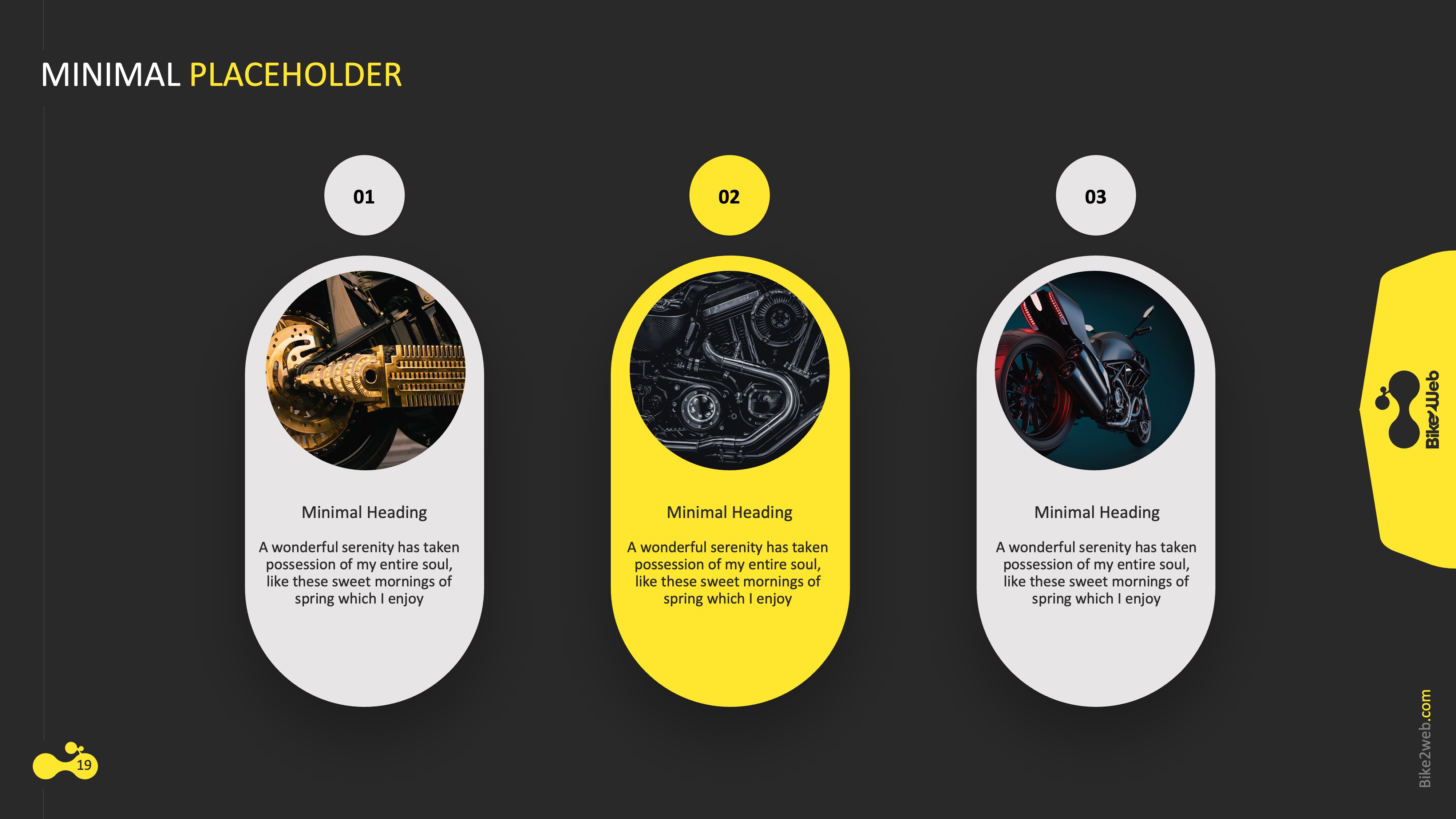 Presentation slide 19